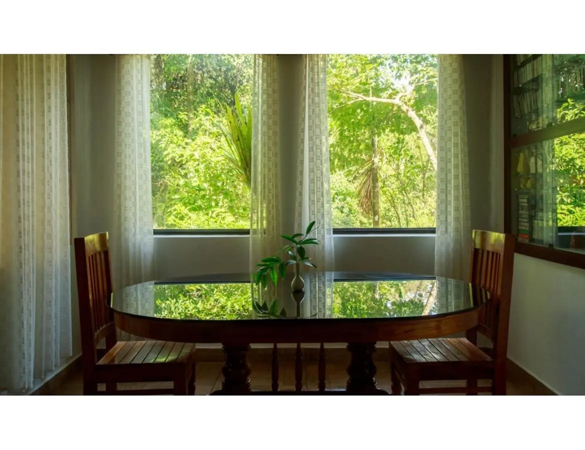 Buena Vista Hut Homestay, Kalpetta, Kerala Kalpetta