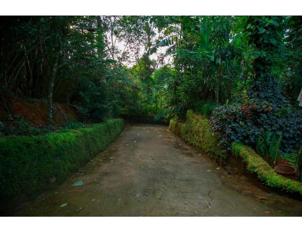 Buena Vista Hut Homestay, Kalpetta, Kerala Kalpetta